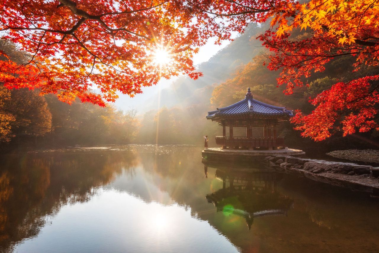 우화정 — 호수 위 정자를 붉은 단풍이 감싸고 아침 햇살이 물안개 사이로 비친다