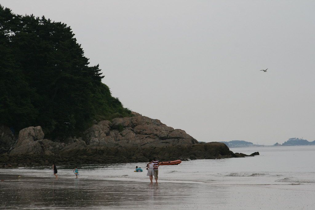 갈매기가 나는 무창포 해변 — 바닷길이 열리지 않는 날에도 호젓한 산책이 좋다