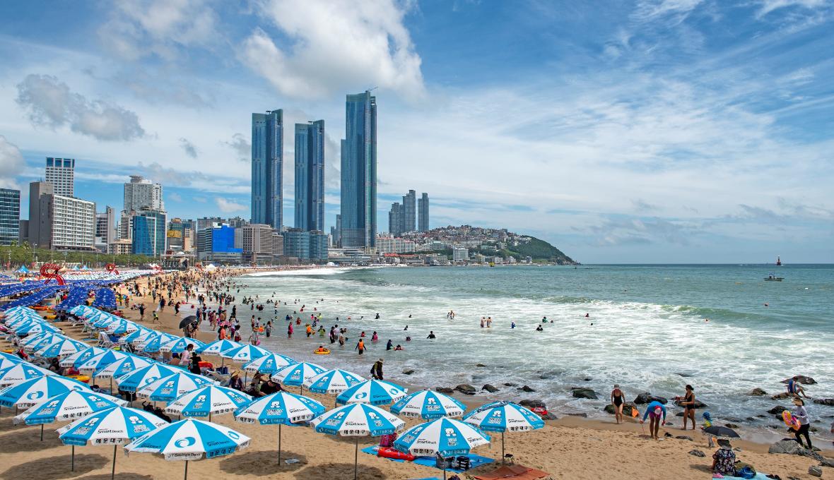 해운대해수욕장의 파란 파라솔밭과 초고층 마천루, 넓은 백사장을 메운 물놀이 인파