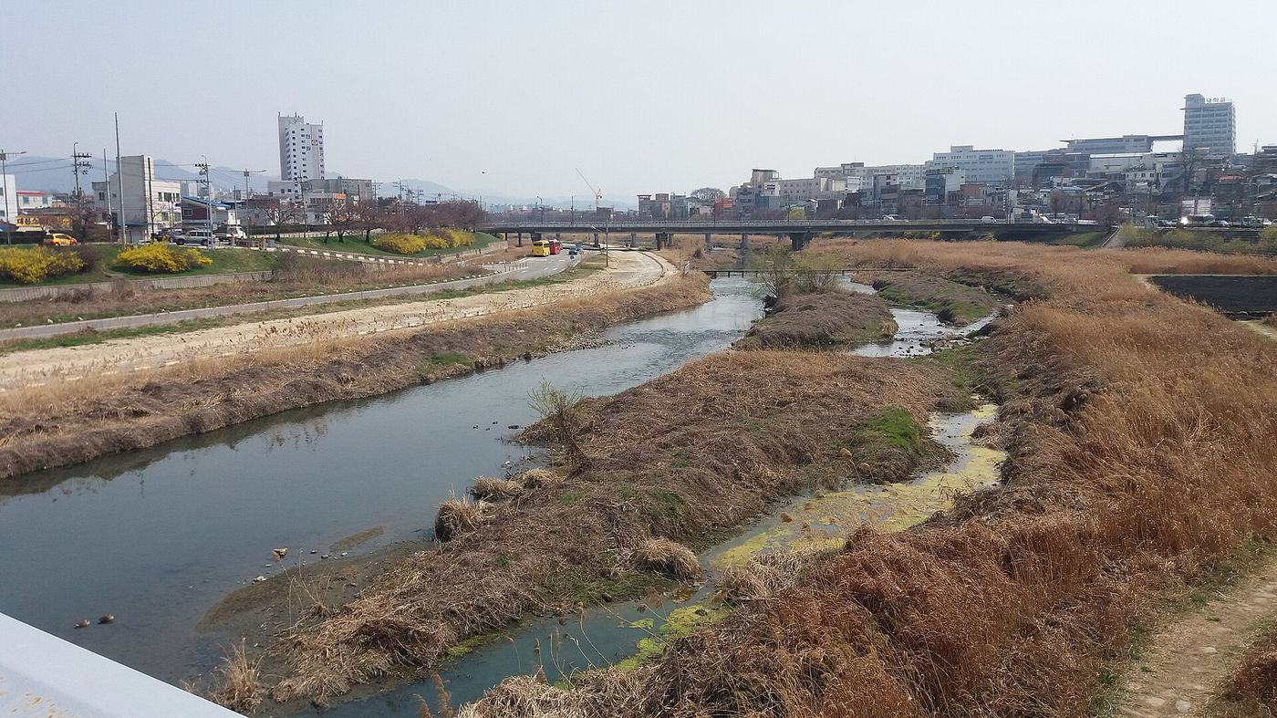 무심천 — 도심을 가로지르는 물길을 따라 산책로가 이어지고, 봄이면 강변이 벚꽃으로 물든다