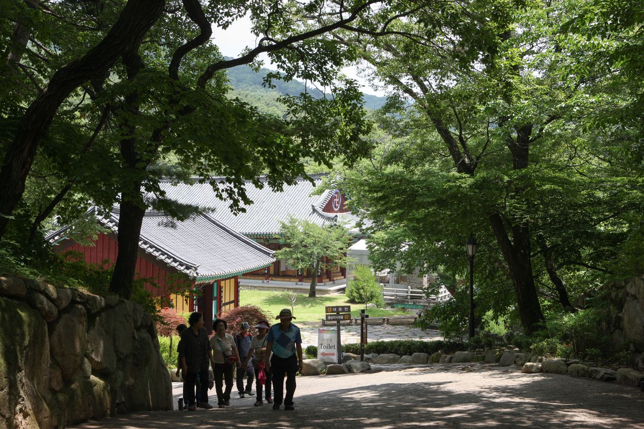 동화사 진입로를 걷는 사람들 — 울창한 숲 사이로 절집 지붕이 모습을 드러낸다