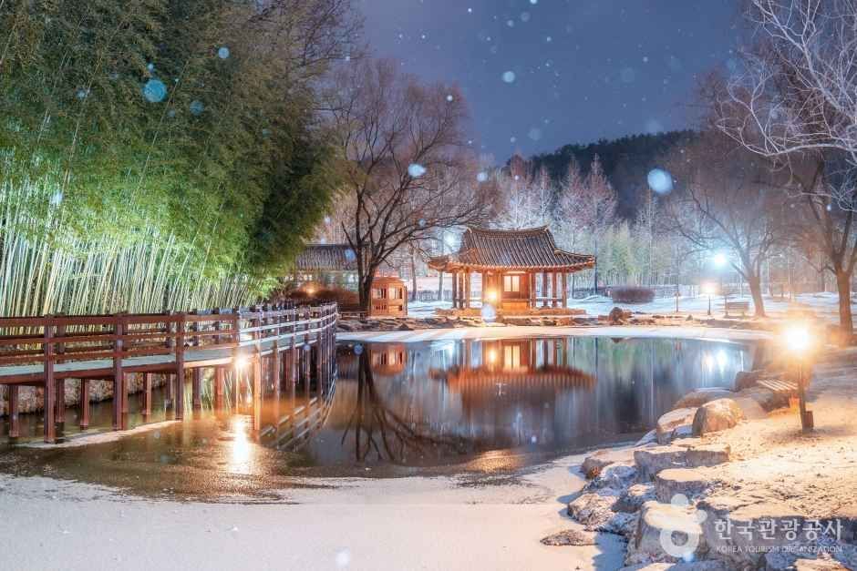 겨울밤 불을 밝힌 죽녹원 대숲