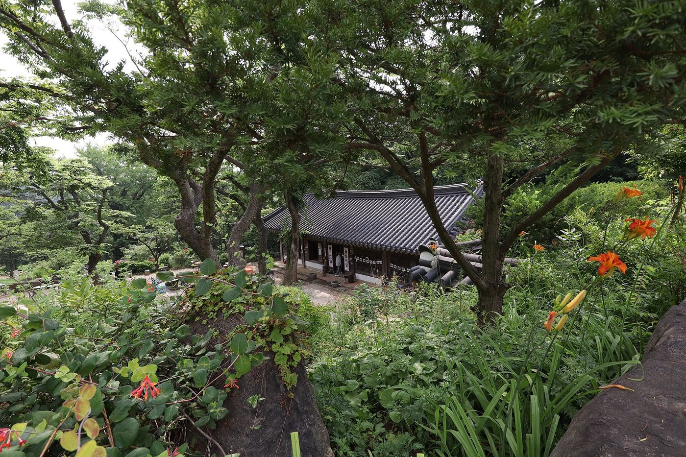 전등사 경내 — 숲과 정원 너머로 전각이 보이고, 여름이면 주황 나리꽃이 핀다