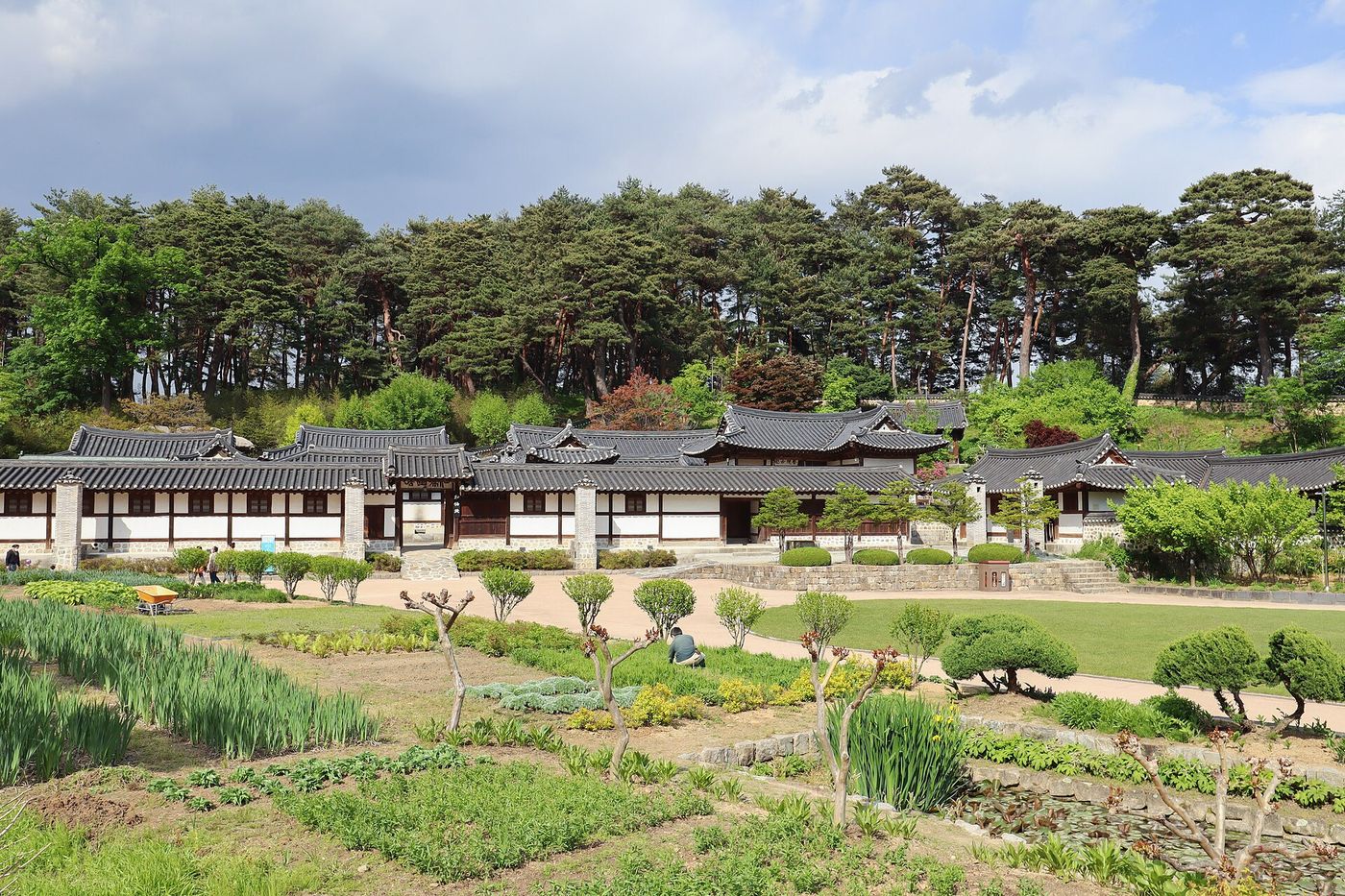 선교장 — 조선 사대부의 살림집, 솔숲에 둘러싸인 옛 강릉의 자취