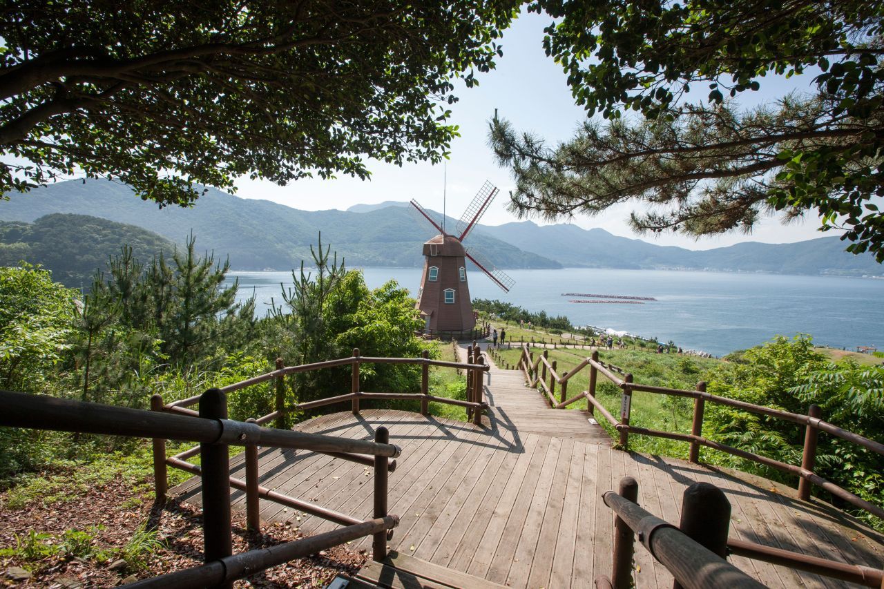 바람의언덕 데크길 끝에 선 풍차 — 솔숲 사이로 바다와 능선이 함께 보인다