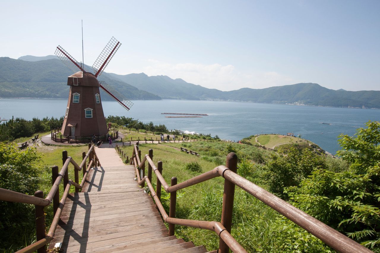 거제 자연 여행 — 지심도 동백·바람의언덕·맹종죽, 배 내려 걷는 섬의 숲