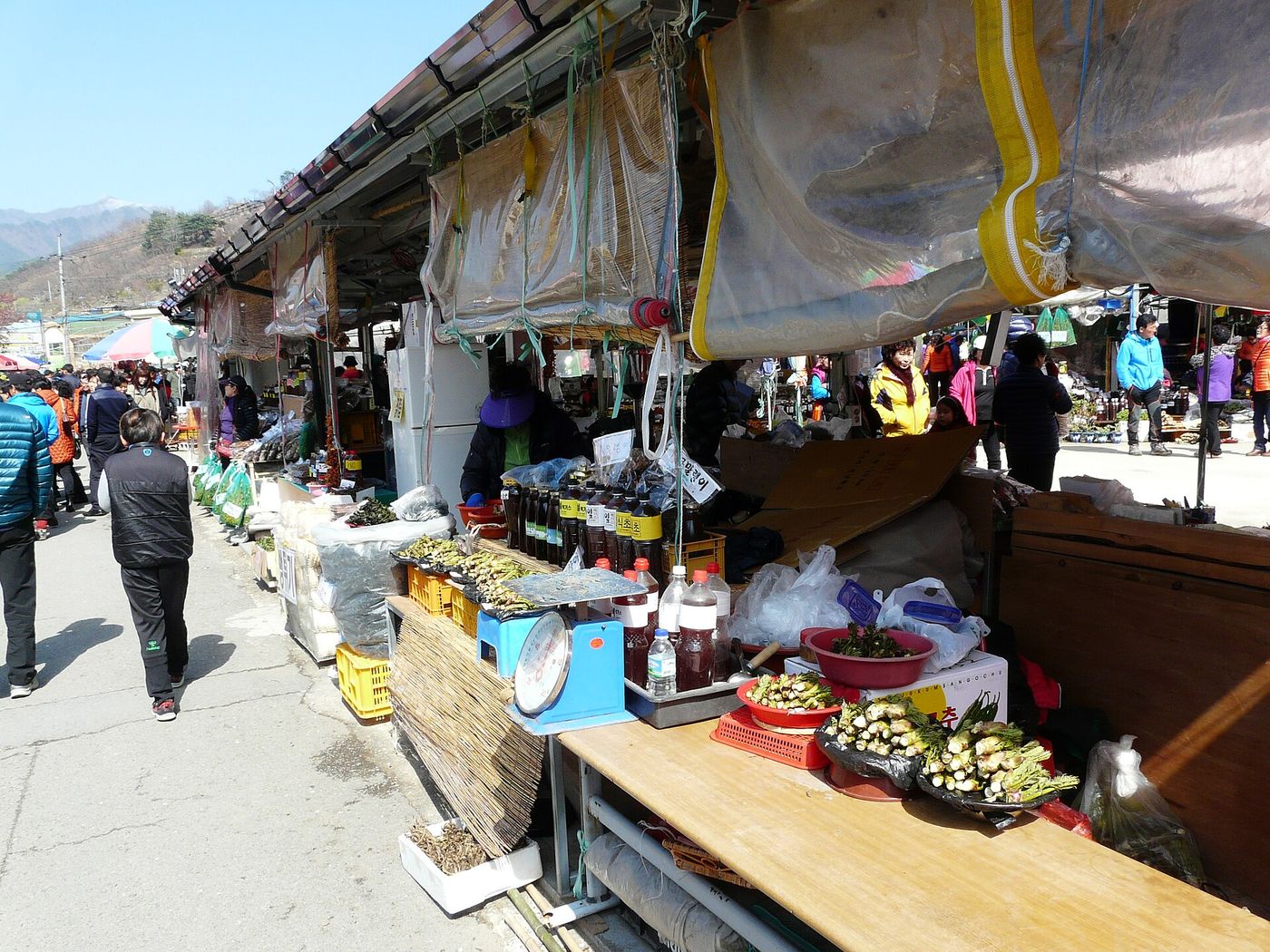 화개장터 좌판 — 지리산에서 캔 두릅과 산나물, 직접 담근 액젓과 식초가 함께 놓인다