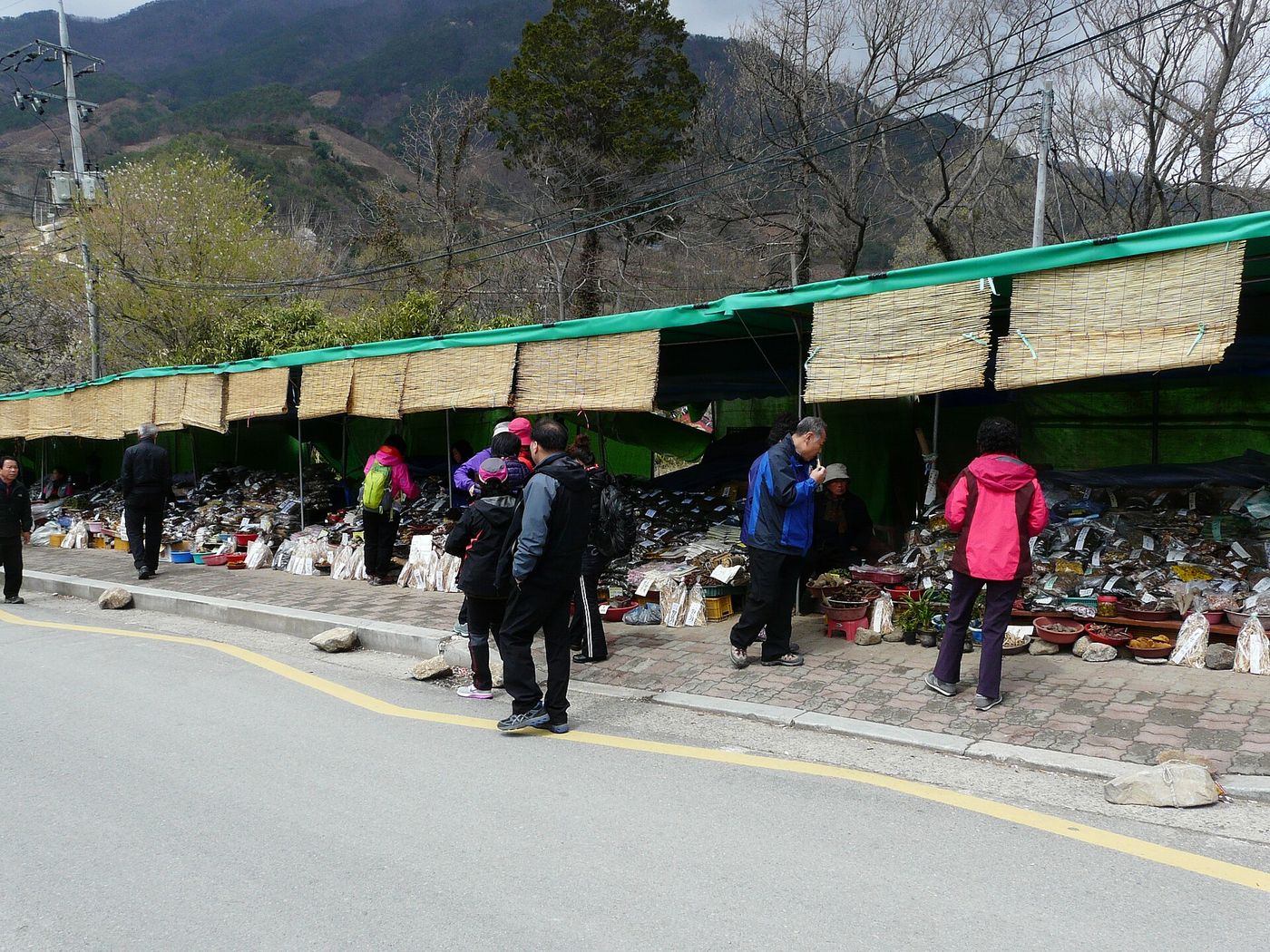길가 쪽 약재전 — 말린 버섯과 약초를 봉지째 늘어놓고 판다. 봄가을이 물건이 가장 많다
