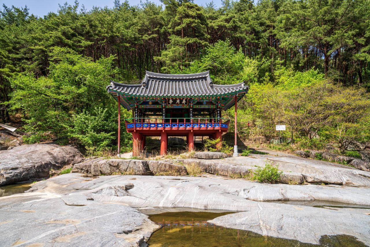소나무 숲을 등지고 너럭바위 위에 선 농월정