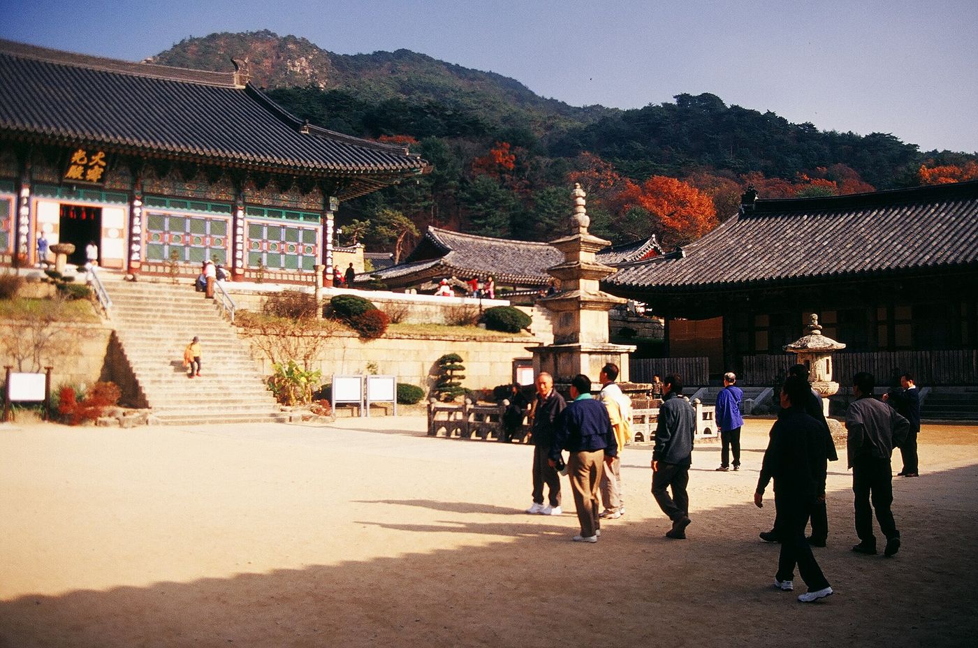 단풍이 물든 해인사 마당, 돌계단 너머로 전각이 늘어선다