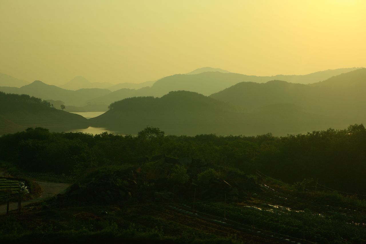 해 뜰 무렵 합천호 변, 안개 너머로 들녘이 깨어난다