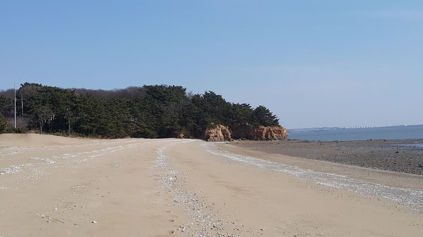 영종도 해변 — 솔숲과 붉은 갯바위가 어우러진 서해 백사장