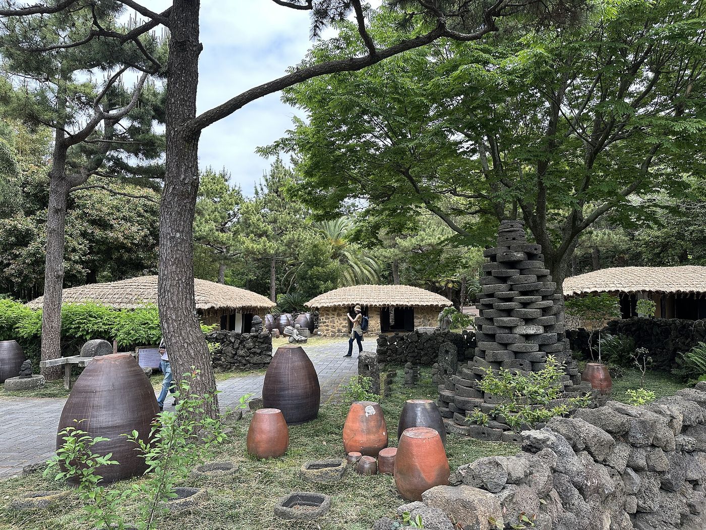한림공원 야자수길 — 줄지어 선 야자수 사이로 걷는 아열대 정원 산책로