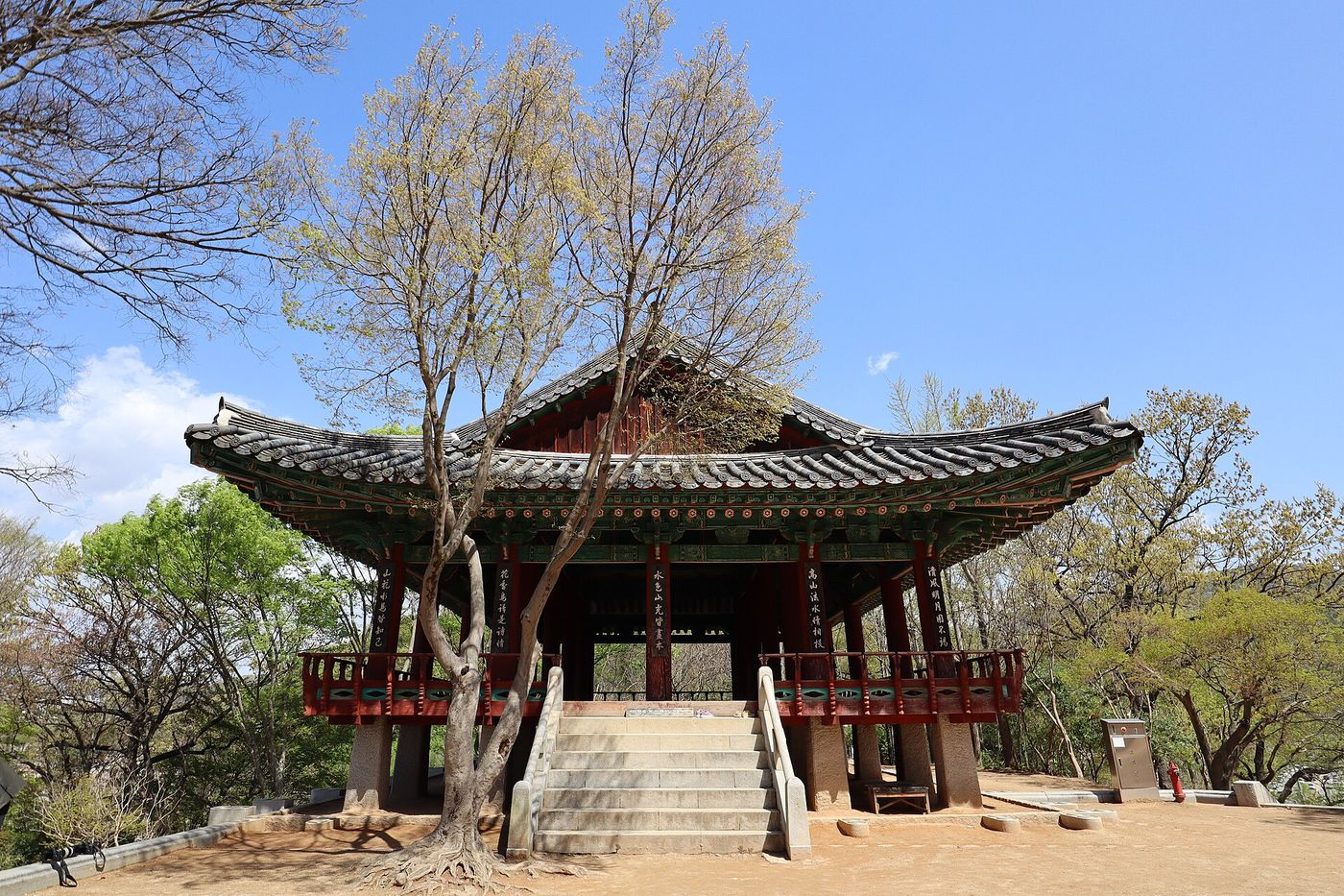 전주 오목대 정자 — 한옥마을을 내려다보는 언덕 위. 짧은 오르막이지만 마을 전경이 한눈에 담긴다