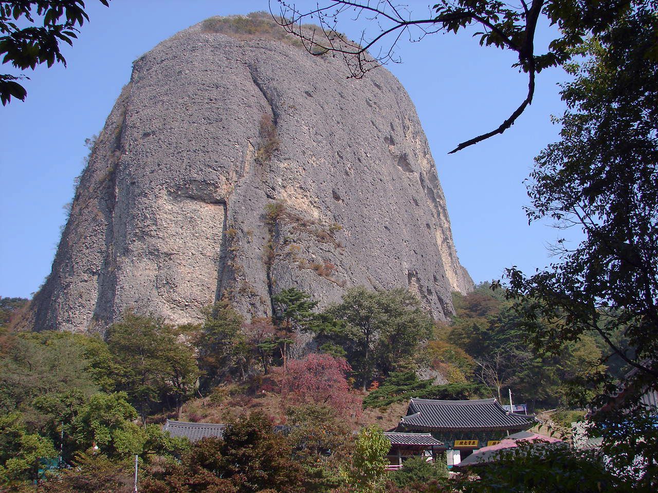암마이봉 역암 벼랑 아래 자리한 은수사 — 거대한 봉우리를 등지고 전각이 봄 숲에 안겼다