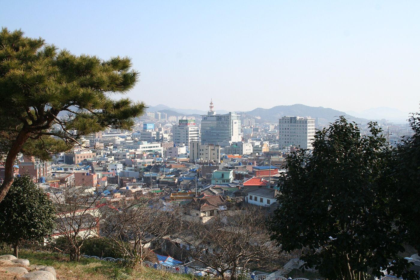 유달산 자락에서 내려다본 목포 원도심 — 산과 바다 사이에 들어앉은 항구 도시