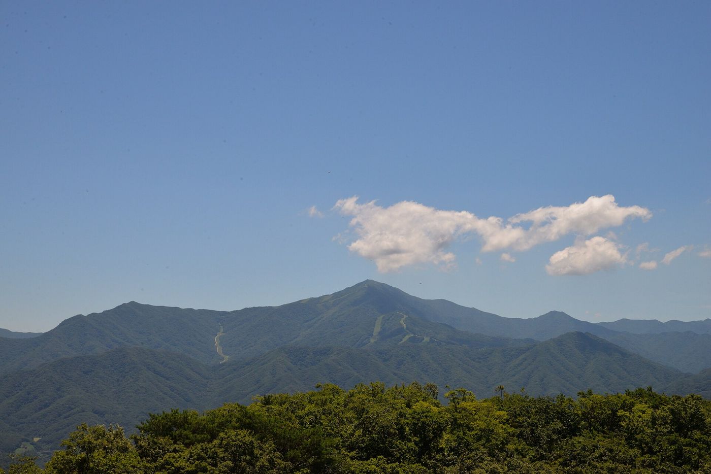 여름 덕유산 — 초록 능선에 리조트 슬로프 자국이 길게 드리운다