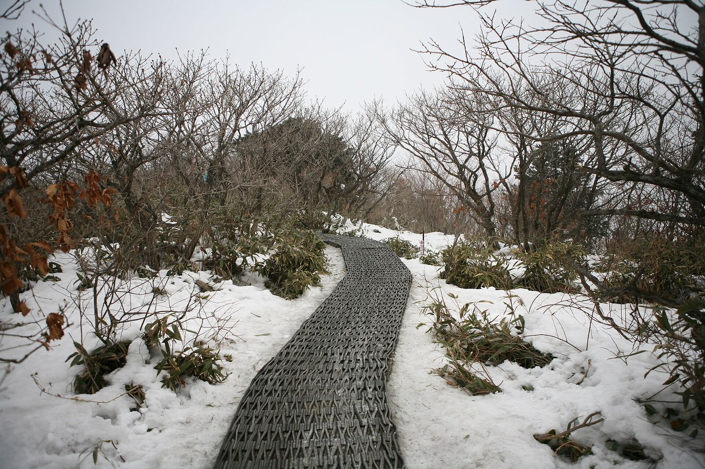 눈 덮인 덕유산 능선의 탐방로 — 매트를 깐 길이 봉우리로 이어진다