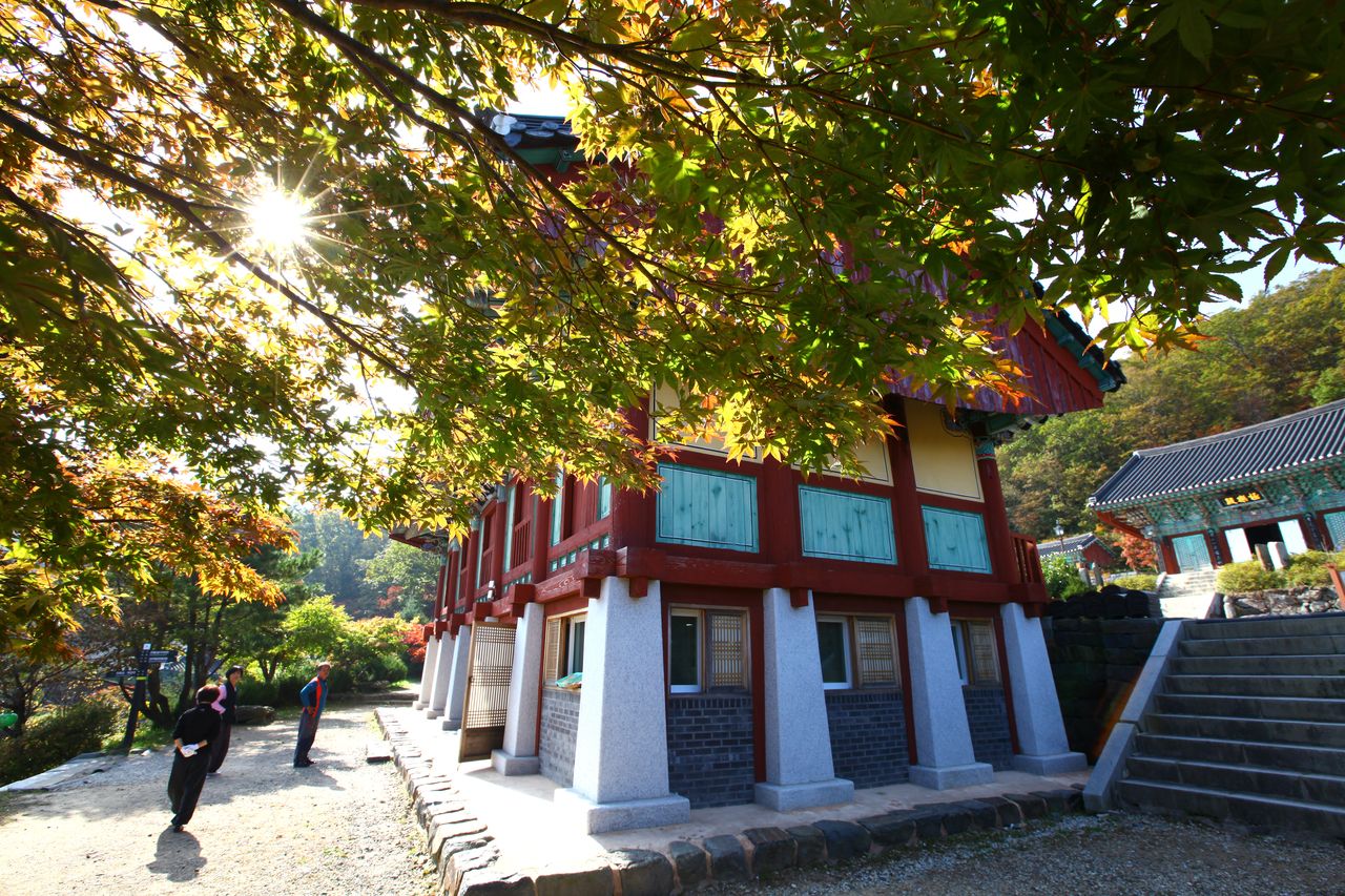 가을 볕이 드는 안국사 경내와 단풍 든 전각