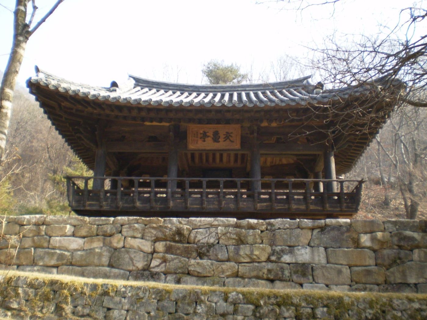 문경새재 교귀정 — 계곡 바위 위에 앉은 정자와 굽은 노송이 물소리를 배경으로 서 있다