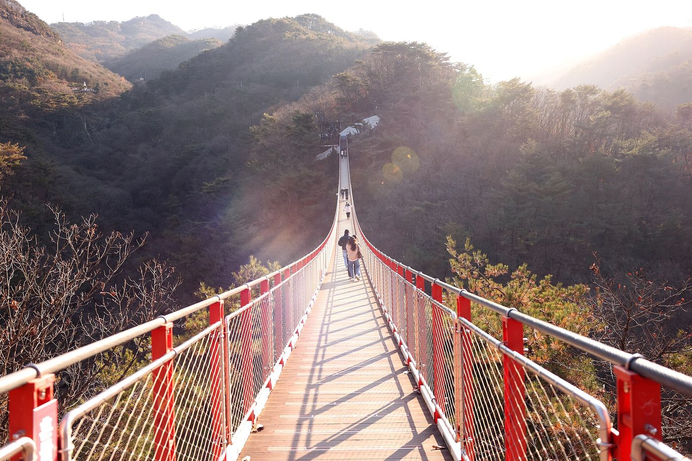 해 질 녘 감악산 출렁다리를 건너는 사람들 — 역광에 다리와 숲이 함께 물든다