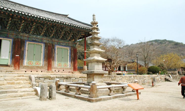 맑은 봄날 선운사 마당의 육층석탑 — 낮은 돌담과 전각을 배경으로 오래된 석탑이 곧게 섰다