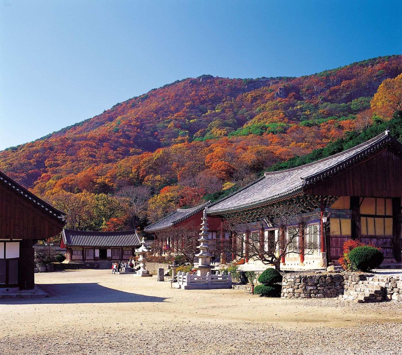 고창