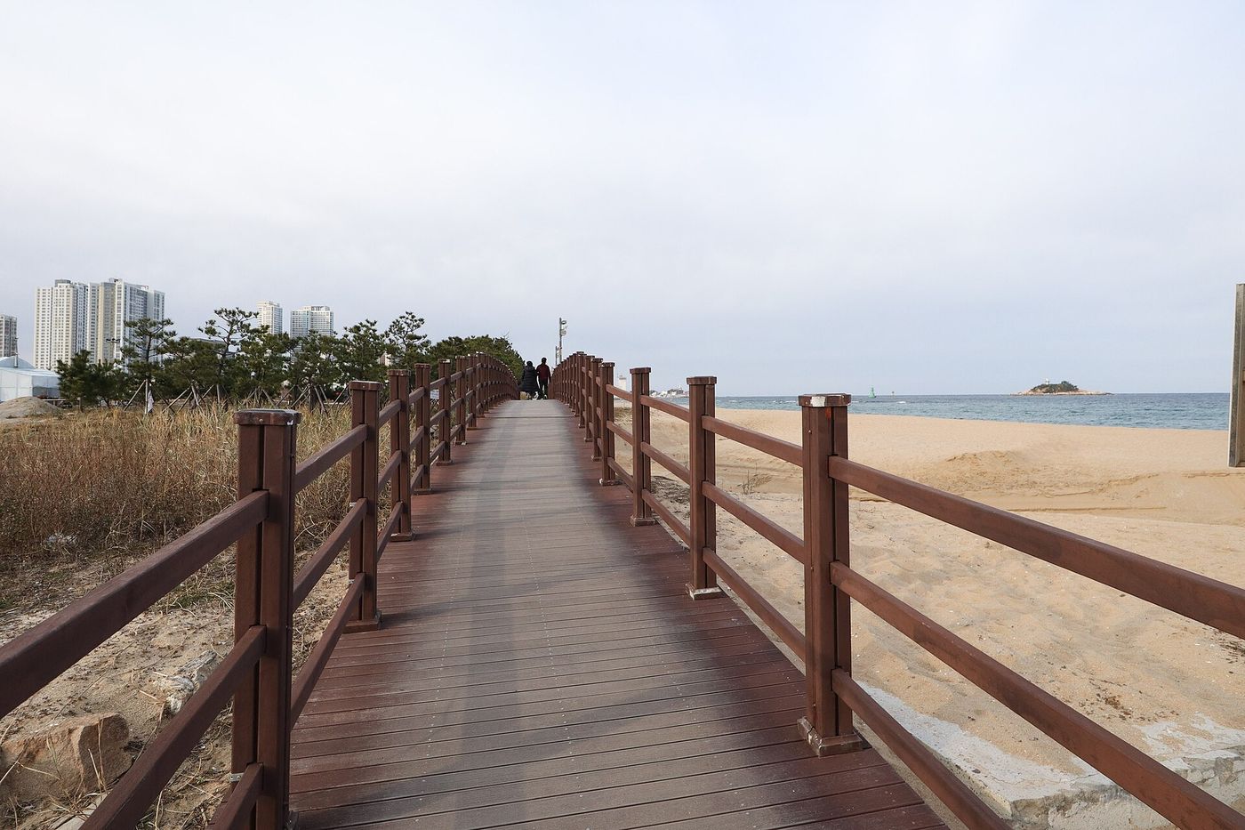 바다를 끼고 이어지는 외옹치 나무 데크 산책로 너머로 앞바다와 작은 섬이 보인다
