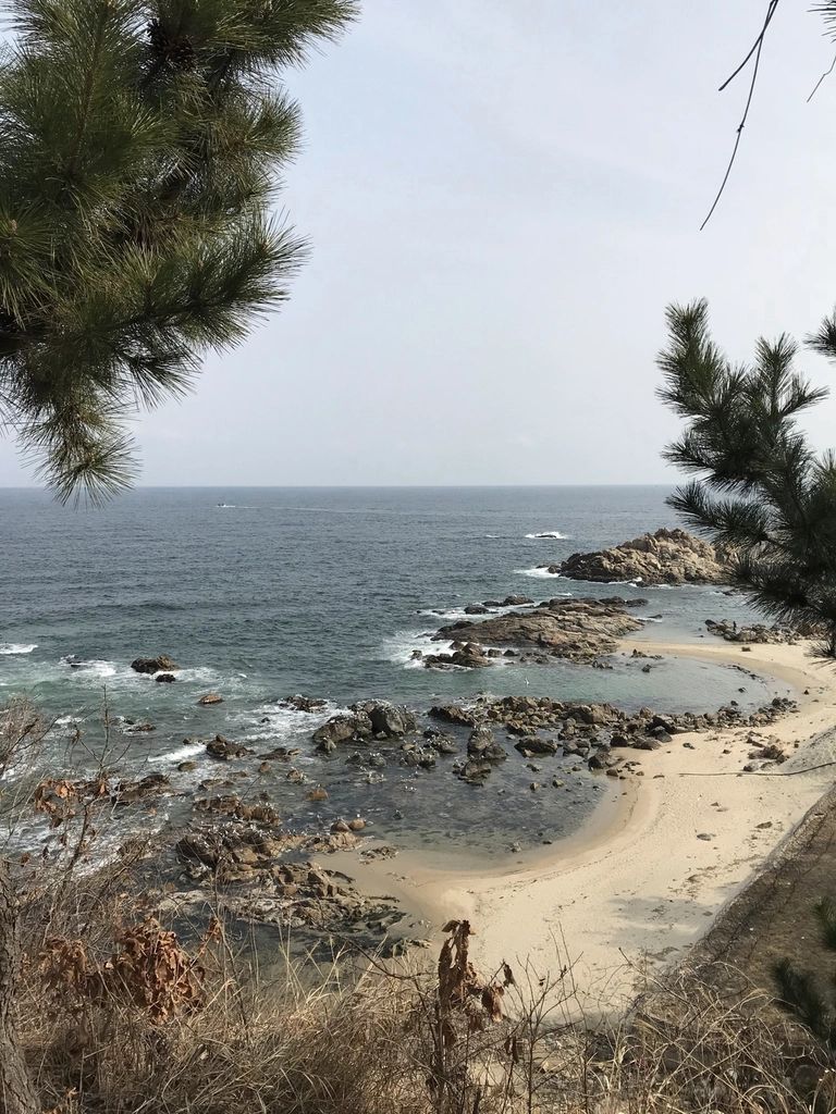 낙산사 — 바다를 굽어보는 언덕 위 천 년 고찰, 해수관음상이 동해를 향해 서 있다