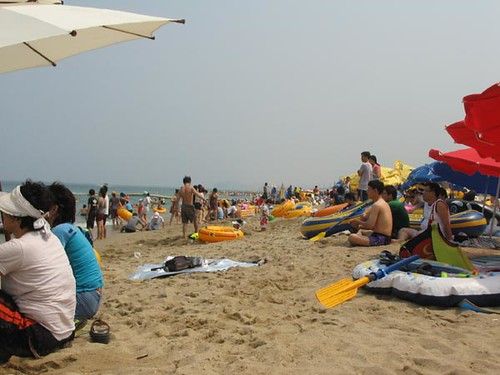 낙산 바다와 파도 — 길게 휜 백사장으로 동해 너울이 차례로 밀려든다