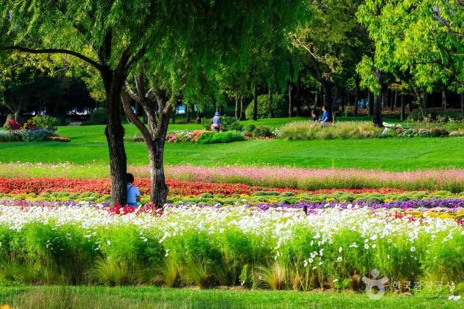 순천만국가정원 — 색색의 꽃밭과 잔디밭 사이로 나무 그늘에 앉아 쉬는 사람들