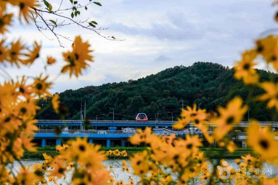 정원 곳곳에 펼쳐진 꽃밭 — 권역마다 다른 주제로 꾸민 너른 정원을 천천히 돈다