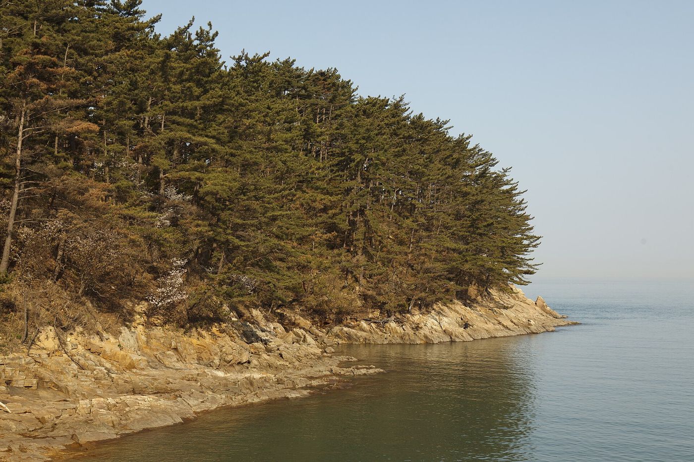 만리포 해변 — 길고 완만한 백사장, 첫날 점심과 산책에 좋다