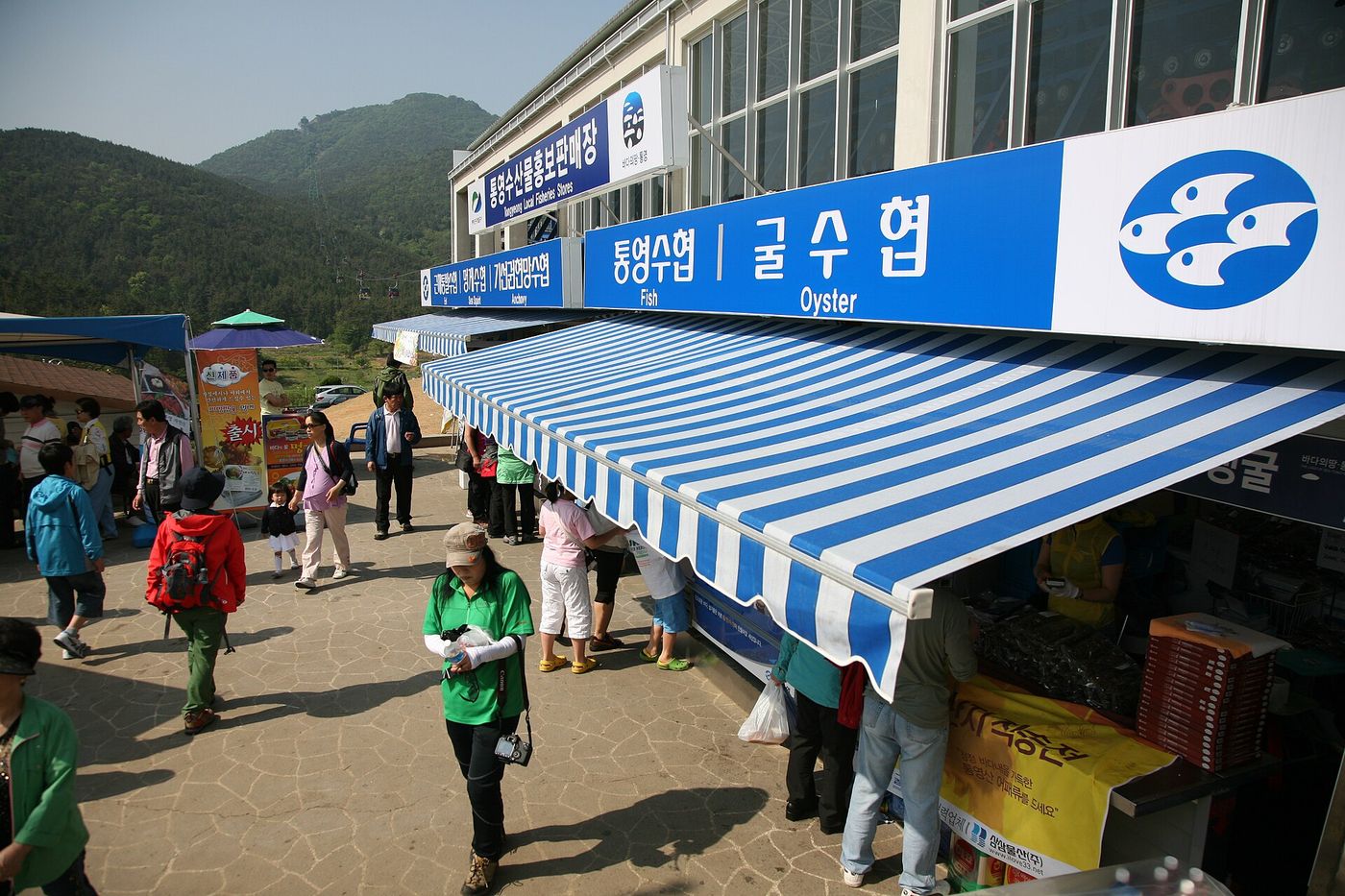 통영 굴수협 직판장 — 산지에서 바로 굴을 사고파는 자리