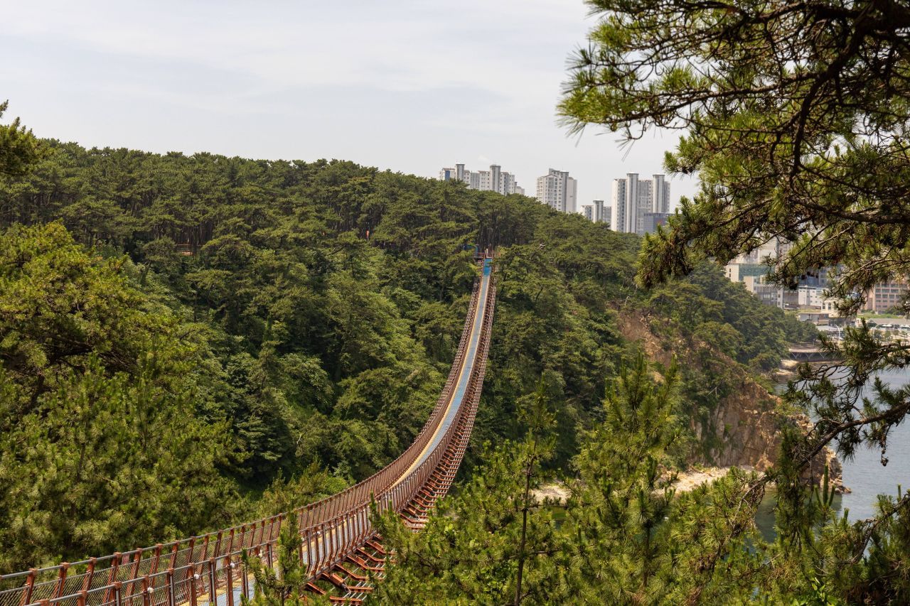 울산 1박 2일 코스 — 2026 태화강·대왕암·간절곶, 바다와 대숲을 잇는 이틀