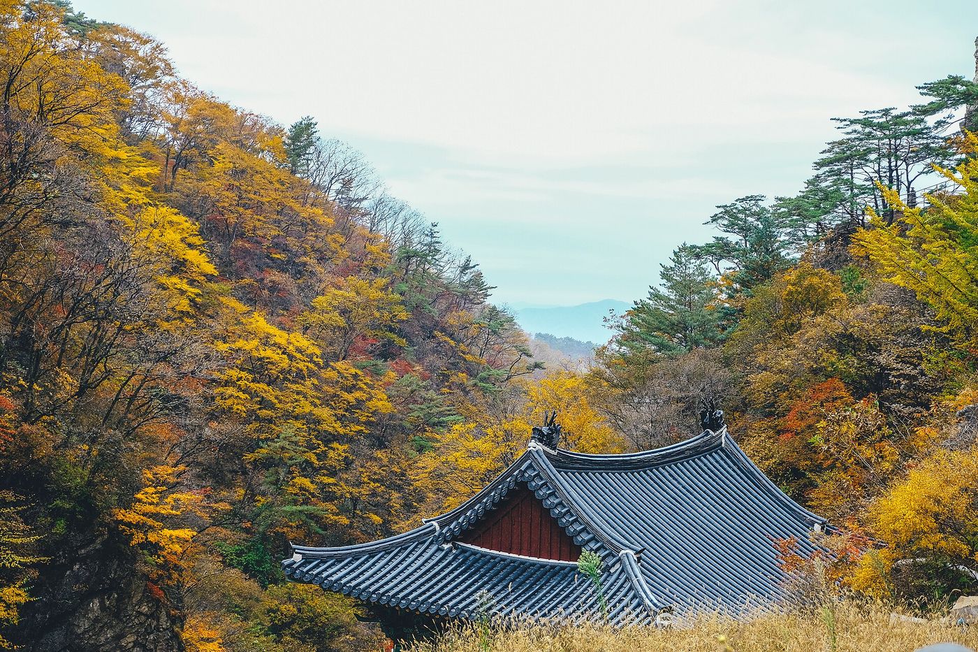 원주 여행 코스 — 치악산·구룡사·소금산 출렁다리, 강원 서부 자연 2026