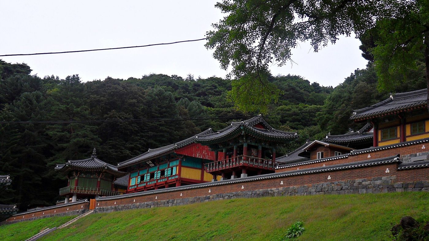 산자락에 폭 안긴 구룡사 전경 — 노송과 능선에 둘러싸인 절집이 치악산 품에 들어앉았다