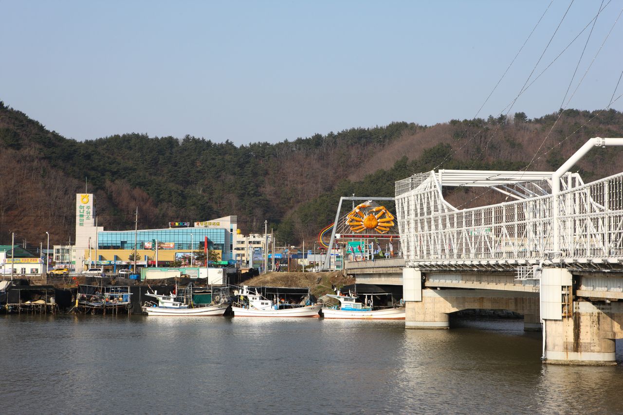강구대교 곁에서 본 강구항 — 대게 조형물 아래로 어선이 늘어선다