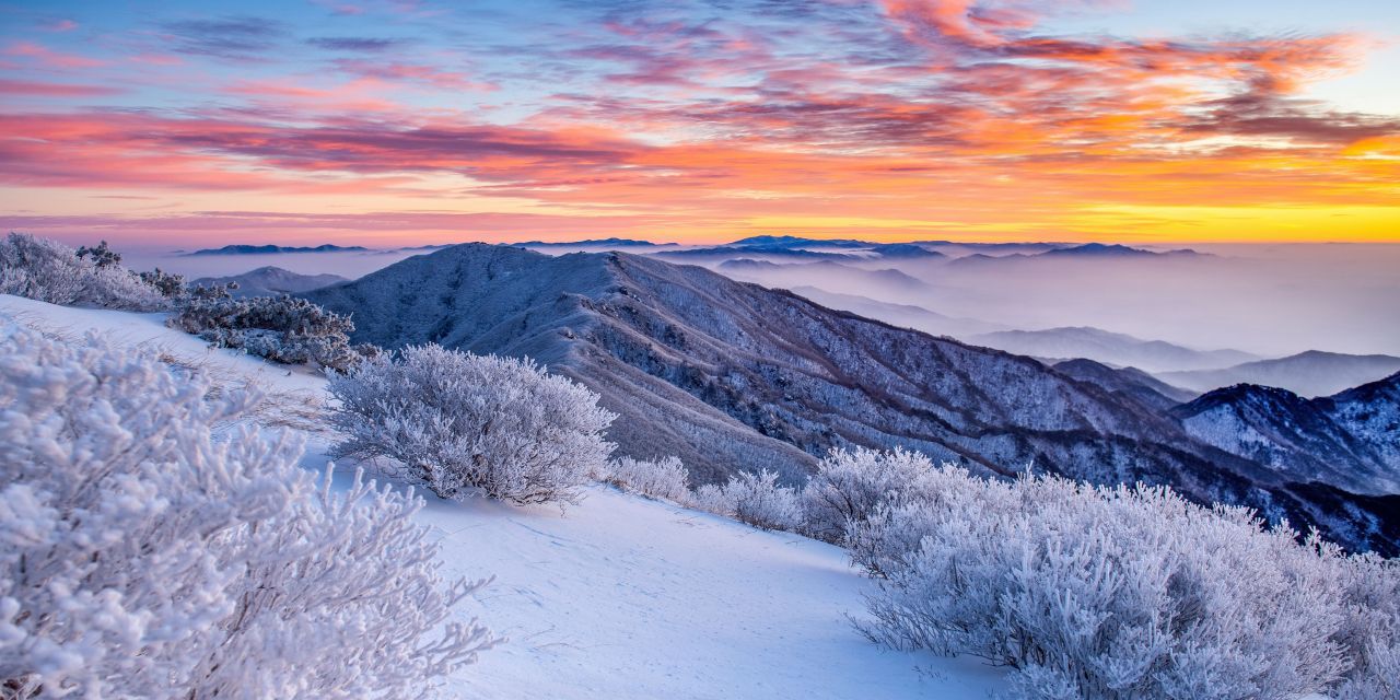 소백산 산행 가이드 — 비로봉·연화봉 코스와 철쭉·상고대 계절별 즐기는 법